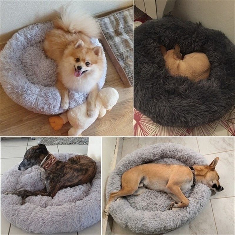 DoggyPouf™- Coussin doux pour chien - canins-toutous